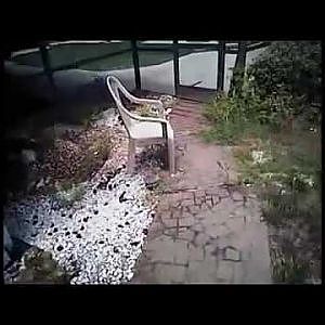 Deltona man shoots wife, exchanges fire with Sheriff's deputies - YouTube