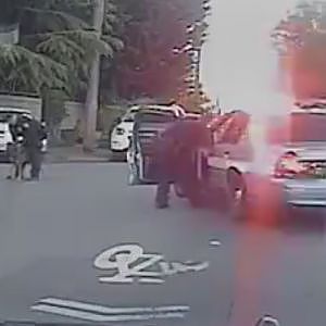 K9 Unit Takes Down Suspect Following Pursuit - YouTube